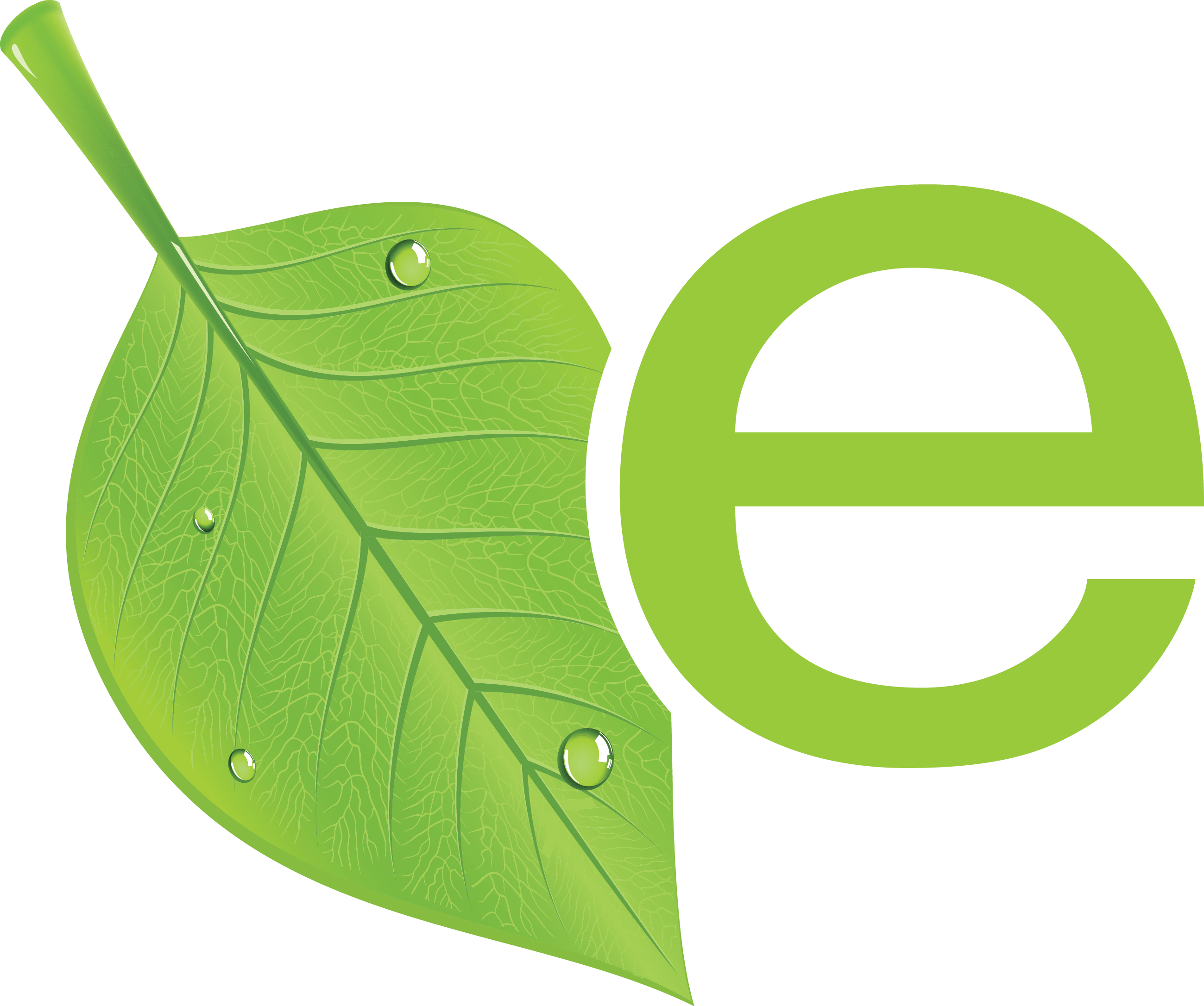 Green ecoFINISH logo with green leaf icon
