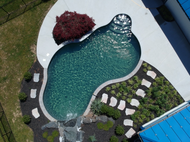 An aerial shot of a bean-shaped swimming pool with a deep blue-green bottom. The pool has steps at one end and is surrounded by a light concrete patio. The area is landscaped with dark mulch, various shrubs, and a path of stepping stones.
