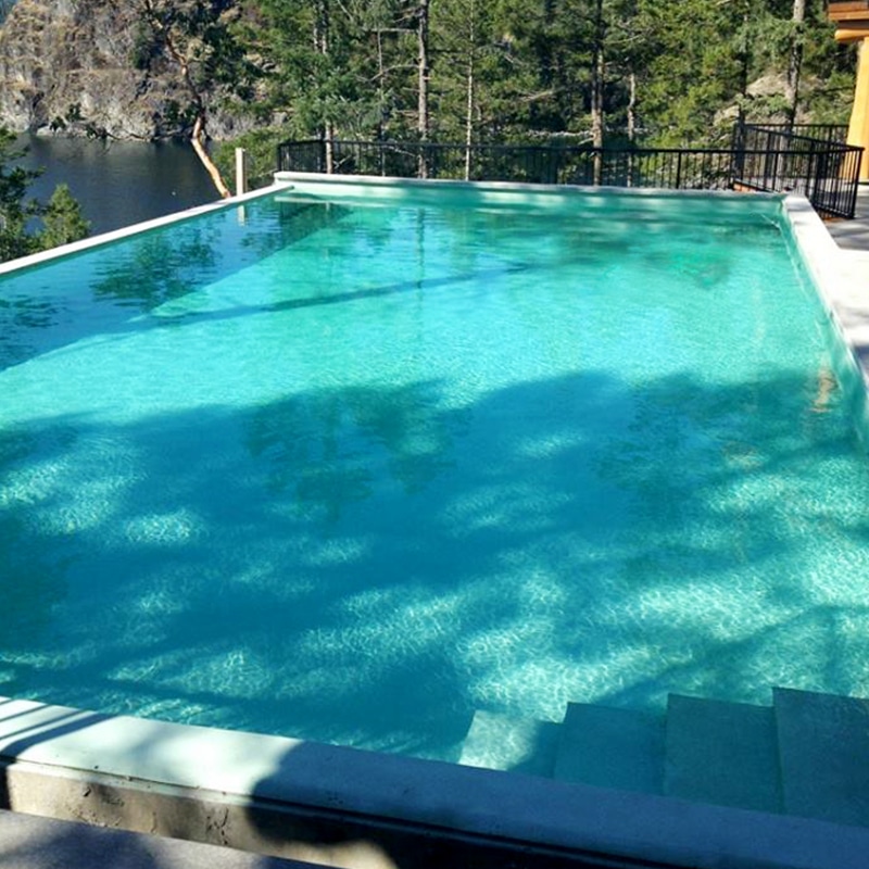 A rectangular infinity pool with light blue water overlooking a lake and a forest. The pool has clear steps leading into the shallow end. The surrounding pool deck is a light-colored concrete. A black metal fence separates the pool area from the lake in the background.
