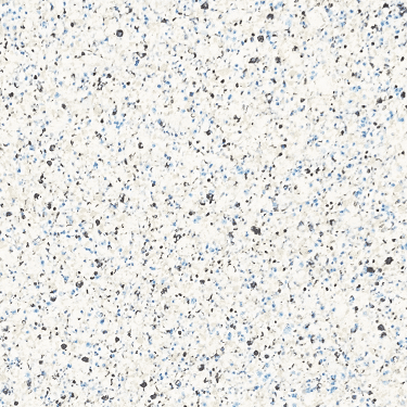 The name of this aquaBRIGHT color swatch is "Kona Coast". It's a sample of a light-colored pool finish. The surface is composed of a dense mix of tiny, irregularly shaped white, black, blue, and tan specks, giving it a speckled, granite-like appearance.